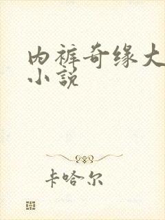 内裤奇缘大团结小说封面