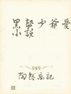 黑帮少爷爱上我小说