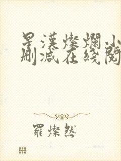 星汉灿烂小说无删减在线阅读封面