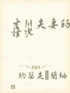 才川夫妻的恋爱情况