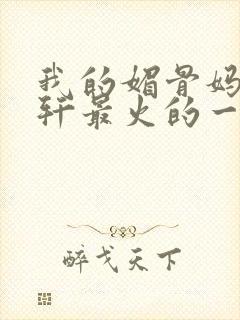 我的媚骨妈妈林轩最火的一句