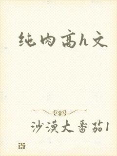 纯肉高h文