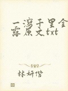 一泻千里金银花露原文txt