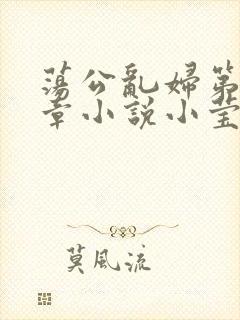 荡公乱妇第51章小说小莹