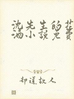 沈先生的花式调酒小说免费阅读