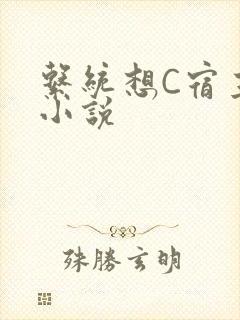 系统想C宿主的小说