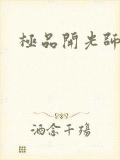 极品开光师