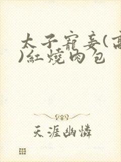 太子宠妾(高肉)红烧肉包封面