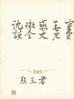 沈微燕王穿越小说全文免费阅读