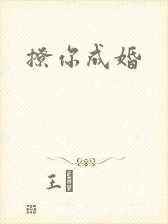 撩你成婚封面