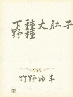 下种大肚子怀孕野种