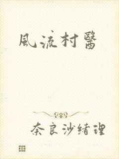 风流村医封面