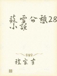 苏雪公憩28篇小说封面