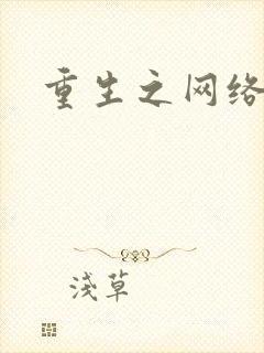 重生之网络大亨