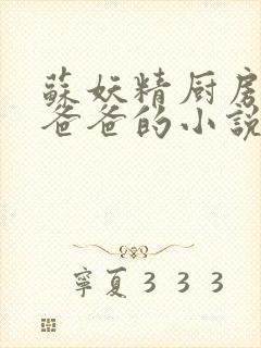 苏妖精厨房爹爹爸爸的小说