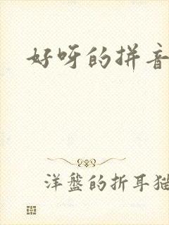 好呀的拼音封面