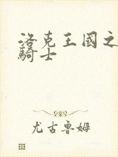 洛克王国之圣龙骑士封面