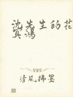 沈先生的花式调冥鸿