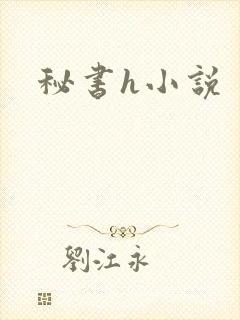 秘书h小说