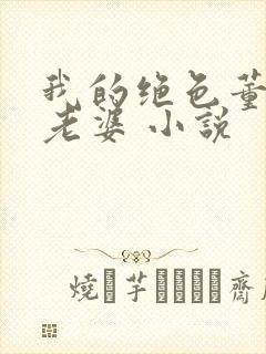 我的绝色董事长老婆 小说封面