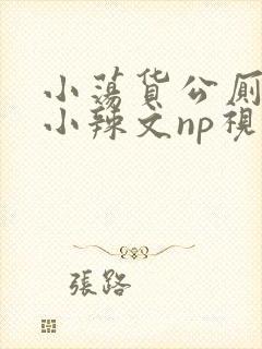 小荡货公厕h文小辣文np视频