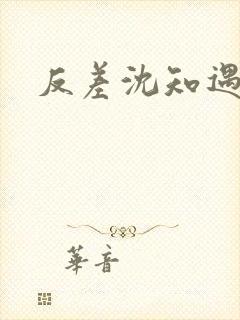 反差沈知遇晏应封面