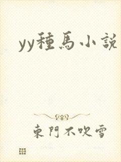 yy种马小说封面