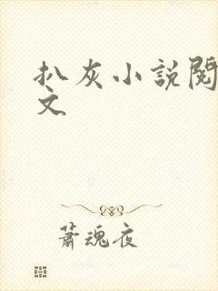 扒灰小说阅读全文封面