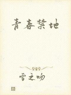 青春禁地封面