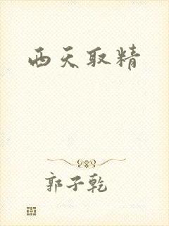 西天取精