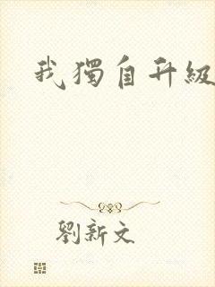 我独自升级小说