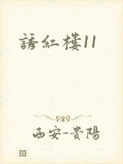 诱红楼11封面