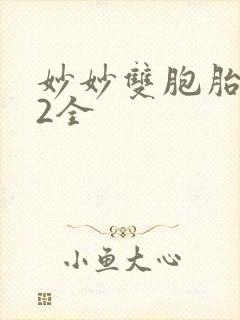 妙妙双胞胎1-2全封面