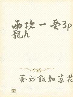 两攻一受3p双龙h
