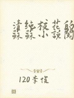 清纯校花的日常苏苏小说阅读全文