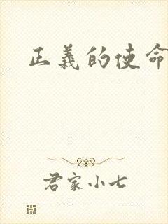 正义的使命小说