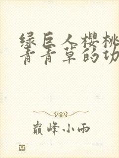 绿巨人樱桃荔枝青青草的功效封面