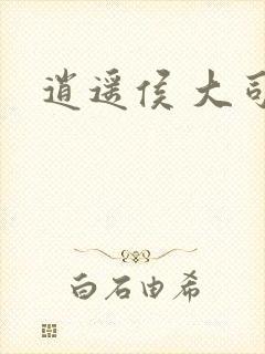 逍遥侯 大司空封面