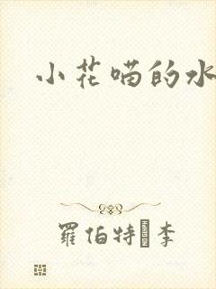 小花喵的水蜜桃