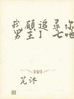 我愿追寻你【双男主】 七吔封面