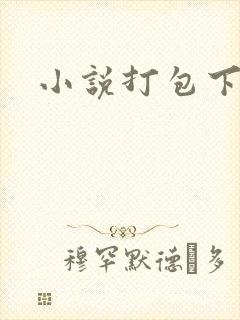 小说打包下载封面