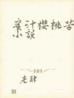 蜜汁樱桃苦咖啡小说