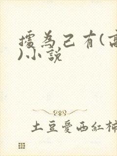 据为己有(高干)小说