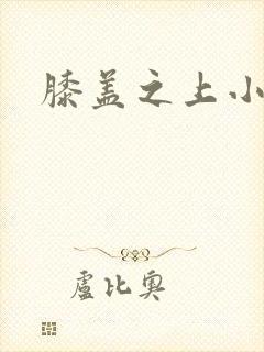 膝盖之上小说封面