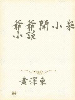 爷爷开小米的包小说封面