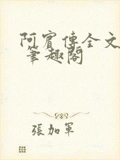 阿宾传全文阅读 笔趣阁