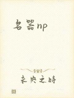 名器np