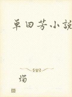 单田芳小说