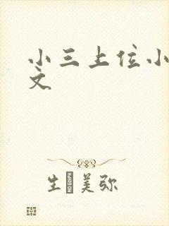 小三上位小说全文