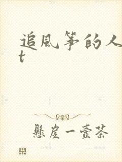 追风筝的人txt封面